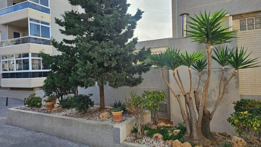 Apartment de 2 chambres à Torreblanca, Espagne No. 2228 № 24