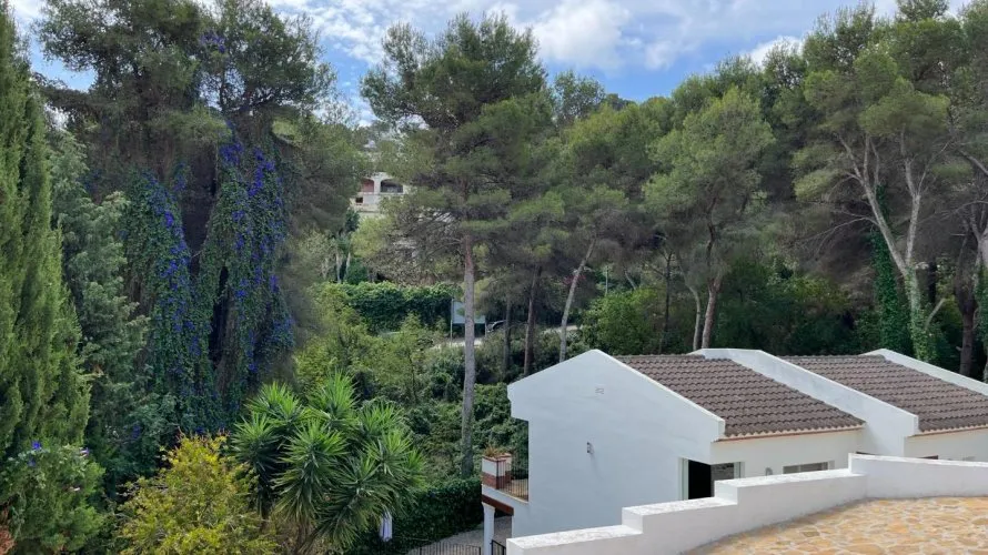 Land plot de à Cap Martin, Espagne No. 1594 № 11