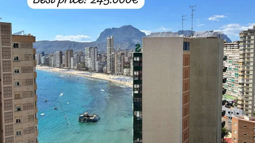 Apartment de 1 chambre à Benidorm, Espagne No. 2452 № 22