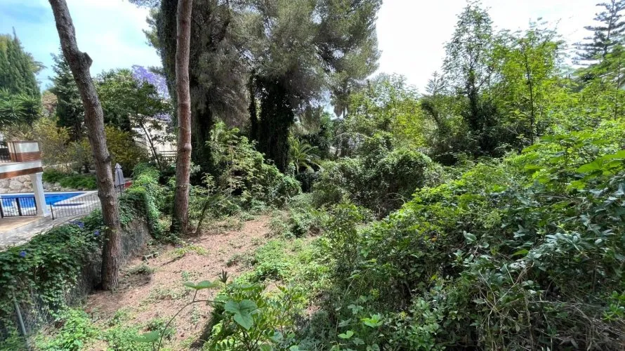 Land plot de à Cap Martin, Espagne No. 1594 № 7