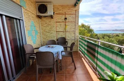 Apartment de 2 chambres à Torrevieja, Espagne No. 2301