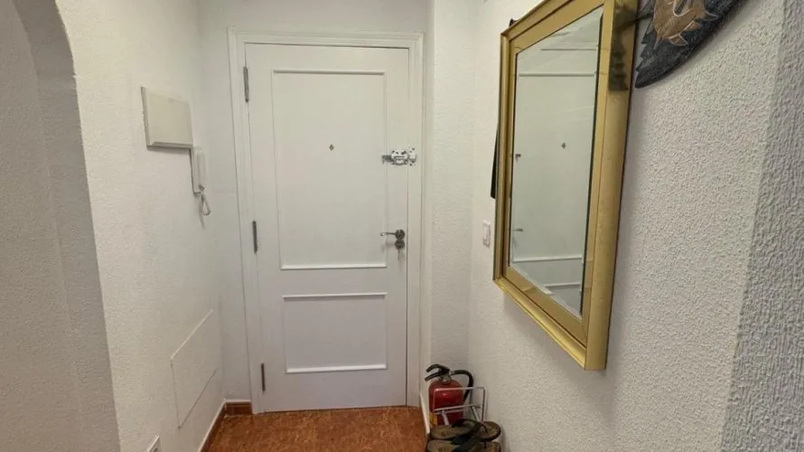 Apartment de 3 chambres à Torrevieja, Espagne No. 2683 № 9