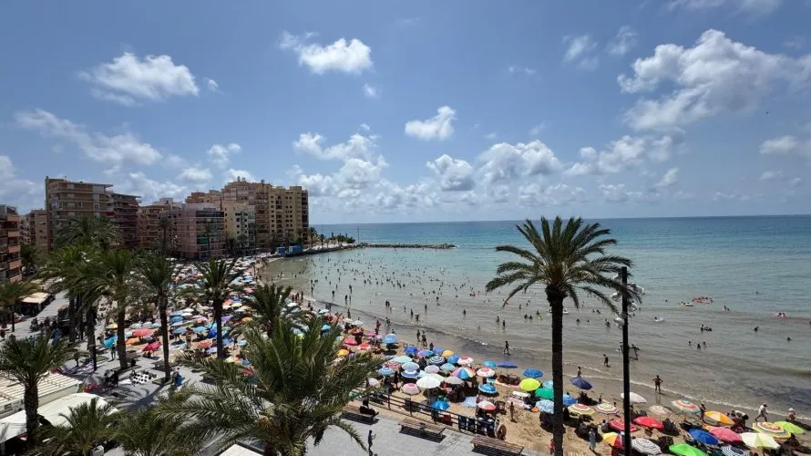 Apartment de 3 chambres à Torrevieja, Espagne No. 2636 № 11