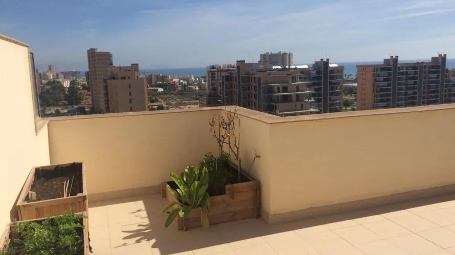 Penthouse de 4 chambres à Alicante, Espagne No. 2390 № 8