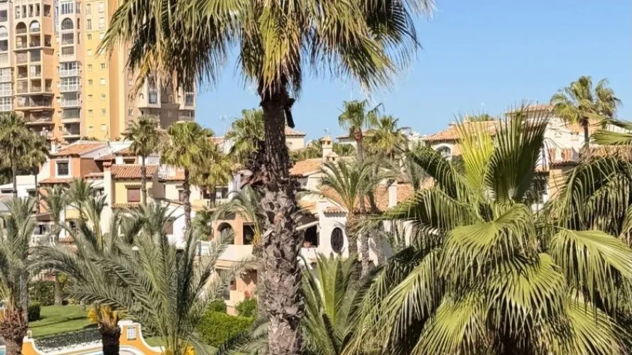 Apartment de 1 chambre à Torrevieja, Espagne No. 2467 № 20