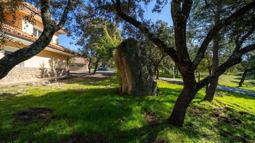 Villa de 8 chambres à Colmenarejo, Espagne No. 2603 № 14