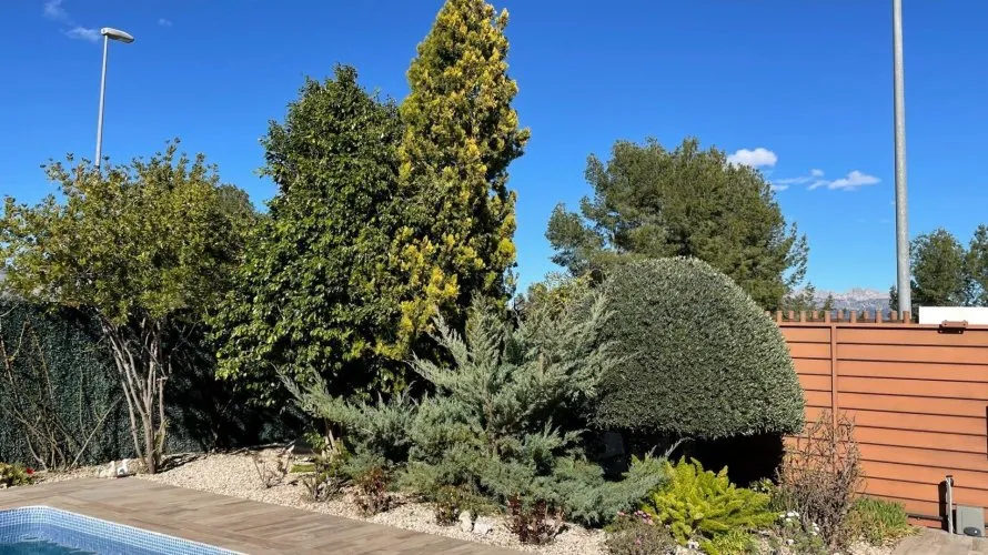 Villa de 3 chambres à La Alberca, Espagne No. 2265 № 6