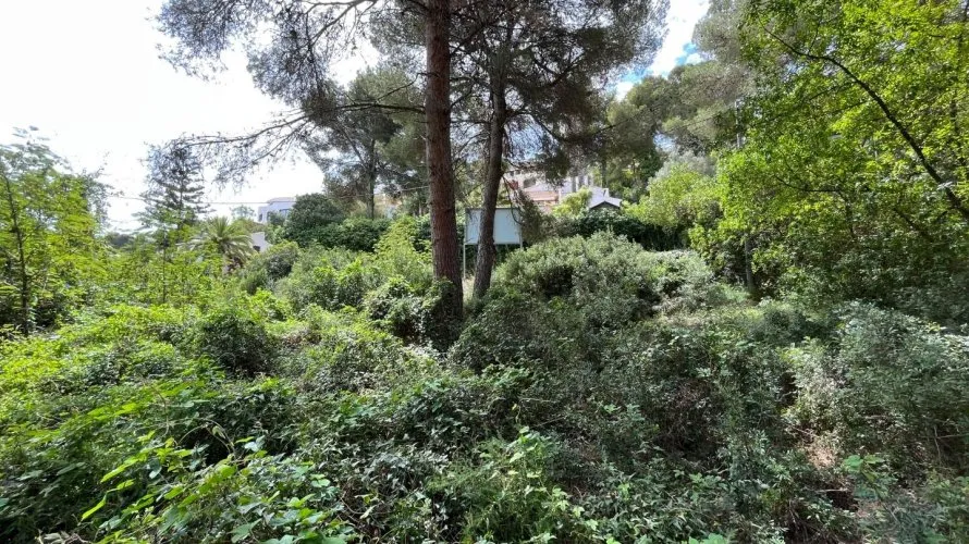 Land plot de à Cap Martin, Espagne No. 1594 № 6