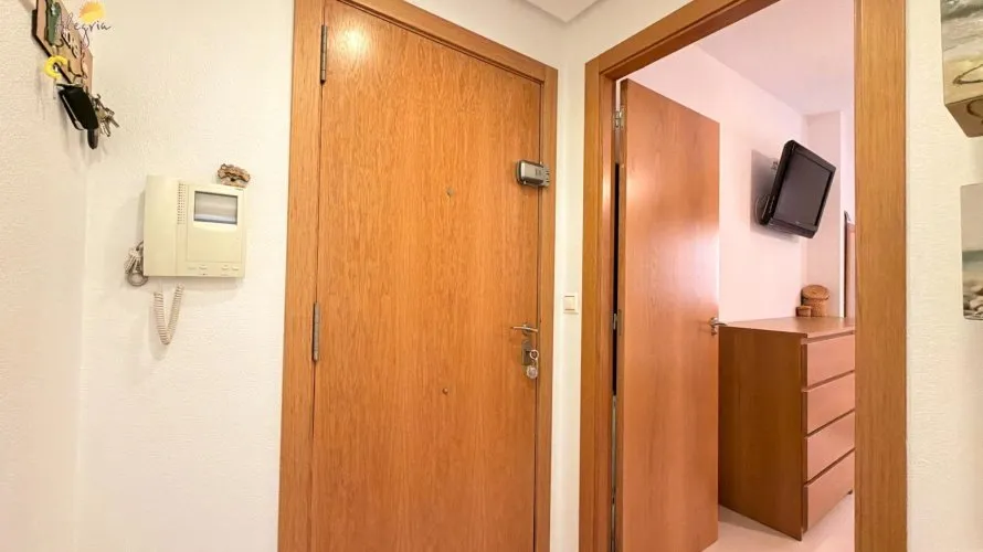 Apartment de 1 chambre à Torrevieja, Espagne No. 3065 № 3