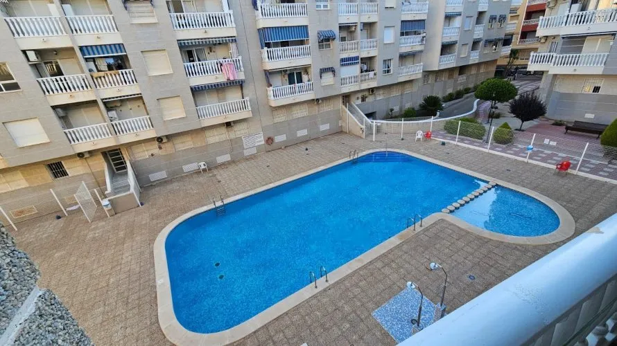 Apartment de 1 chambre à Torrevieja, Espagne No. 3045 № 18