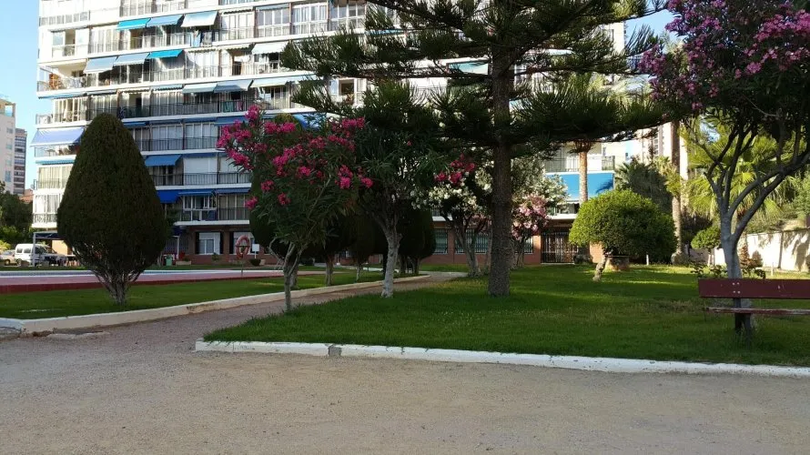 Apartment de 29m² à Finestrat, Espagne No. 2980 № 26
