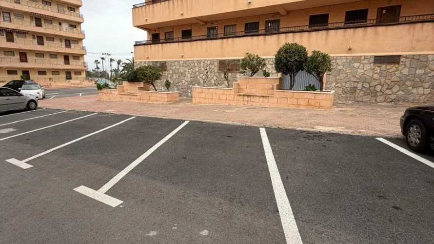 Apartment de 1 chambre à Torrevieja, Espagne No. 3015 № 8