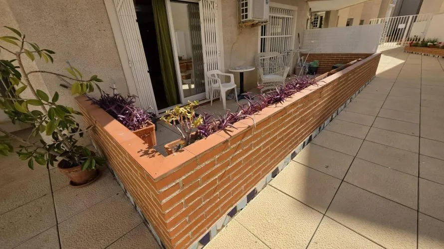 Apartment de 1 chambre à Torrevieja, Espagne No. 3086 № 10
