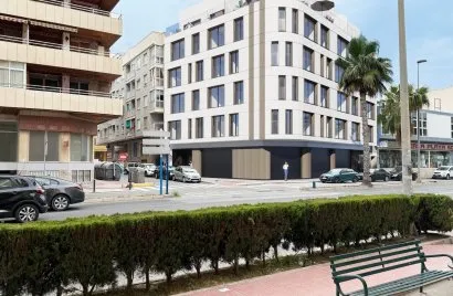 Apartment de 1 chambre à Torrevieja, Espagne No. 2967