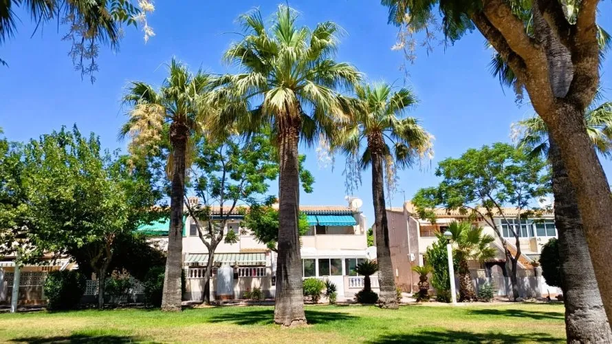 Bungalow de 2 chambres à La Regia, Espagne No. 2816 № 1