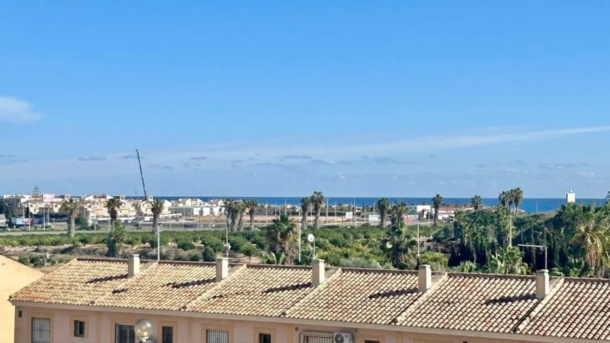 Villa de 2 chambres à Torrevieja, Espagne No. 3252 № 24