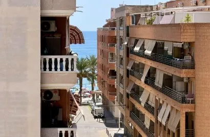 Apartment de 1 chambre à Torrevieja, Espagne No. 3344