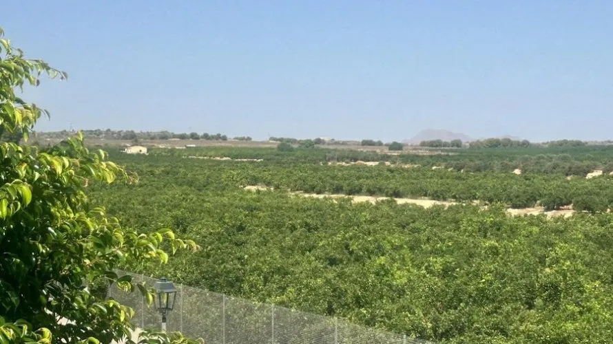 Villa de à Algorfa, Espagne No. 3304 № 1