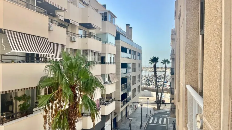 Apartment de 3 chambres à Torrevieja, Espagne No. 3381 № 24