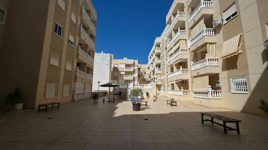 Apartment de 3 chambres à Torrevieja, Espagne No. 3317 № 2