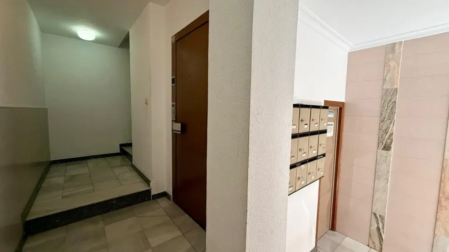 Apartment de 1 chambre à Torrevieja, Espagne No. 3344 № 4