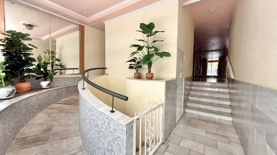 Apartment de 1 chambre à Torrevieja, Espagne No. 3336 № 6