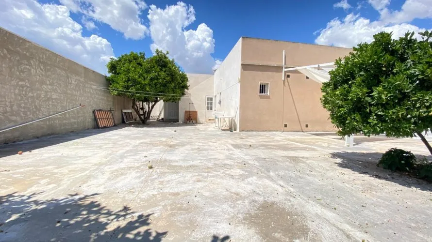 Apartment de 3 chambres à Torrevieja, Espagne No. 3350 № 24