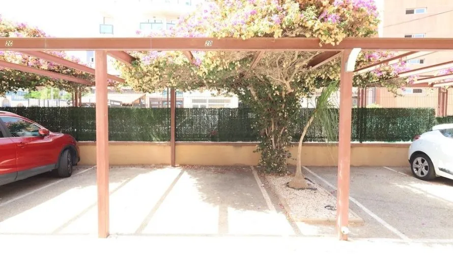Apartment de 2 chambres à Alicante, Espagne No. 3305 № 5