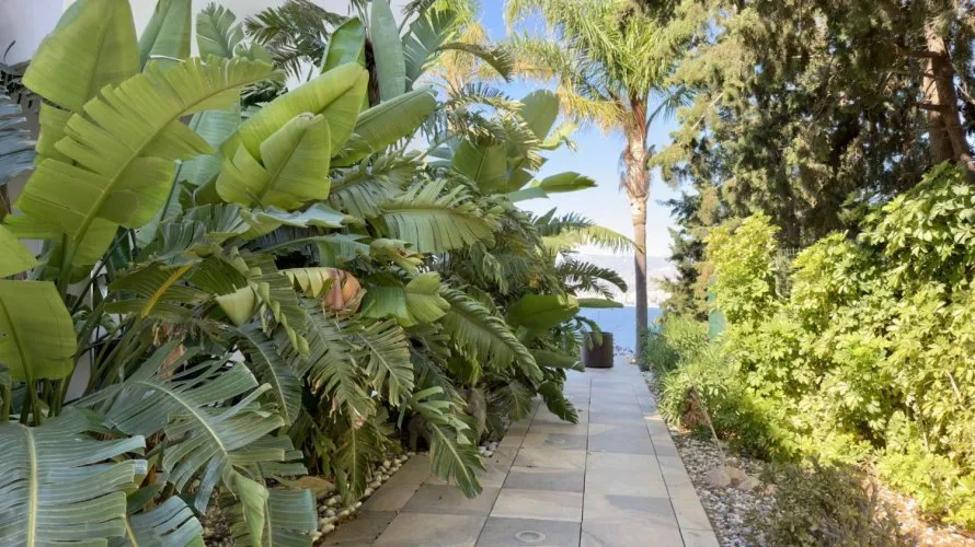 Villa de 5 chambres à Benidorm, Espagne No. 3453 № 16