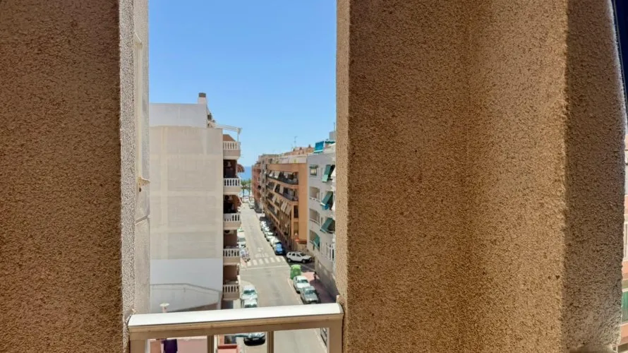Apartment de 1 chambre à Torrevieja, Espagne No. 3344 № 13