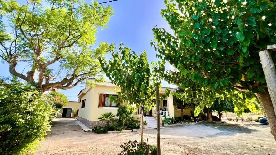 Villa de 3 chambres à Daya Vieja, Espagne No. 3321 № 22
