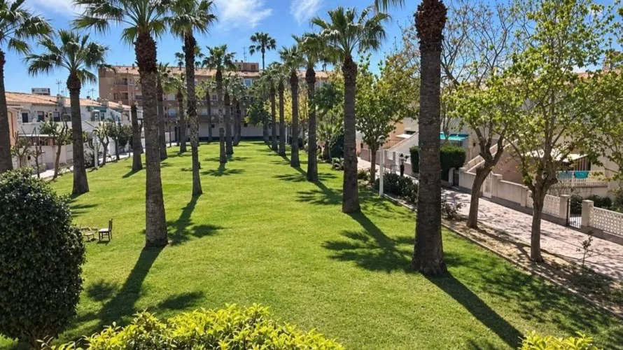 Apartment de 1 chambre à La Regia, Espagne No. 3505 № 4