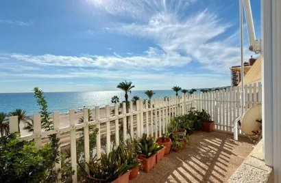 Apartment de 1 chambre à El Campello, Espagne No. 3587