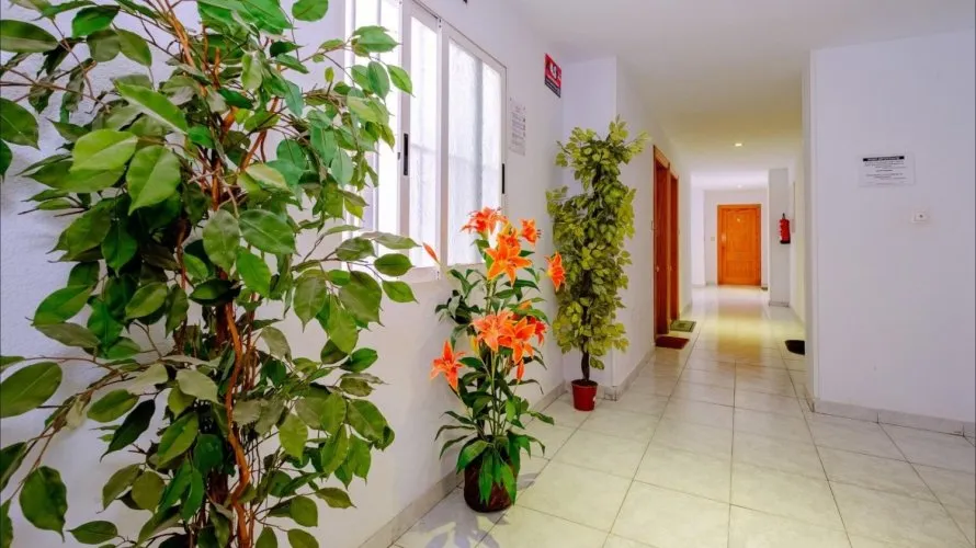 Apartment de 1 chambre à Torrevieja, Espagne No. 3625 № 9