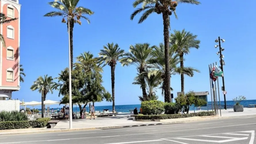 Apartment de 3 chambres à Torrevieja, Espagne No. 3501 № 26