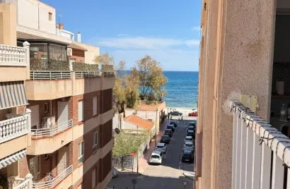 Apartment de 1 chambre à Torrevieja, Espagne No. 3554