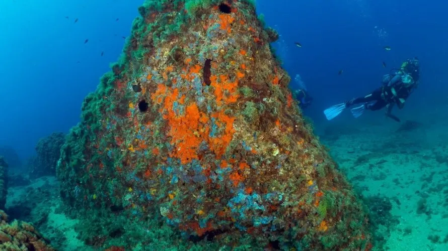 Пентхаус с 2 спальнями в Агилас, Испания №1618 № 10