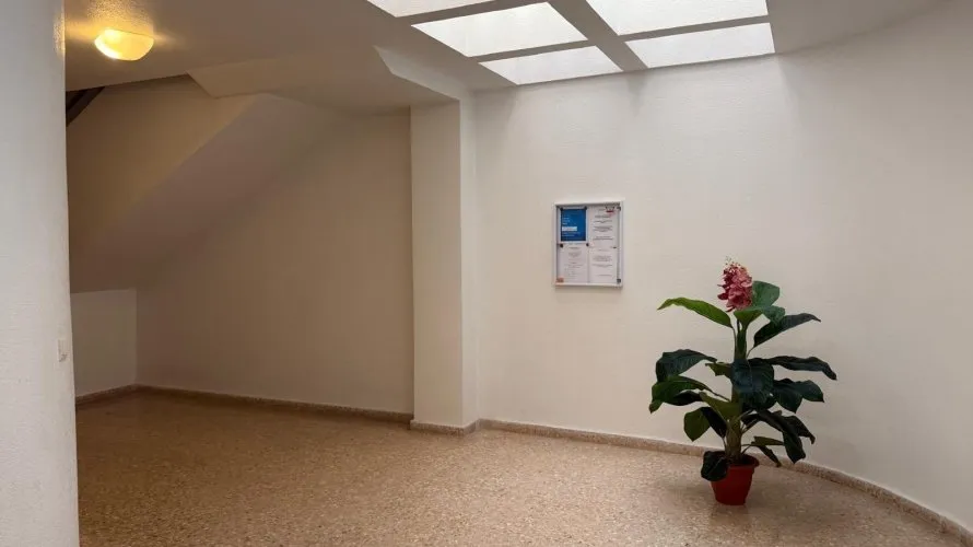 Квартира с 1 спальней в Торревьеха, Испания №3263 № 23