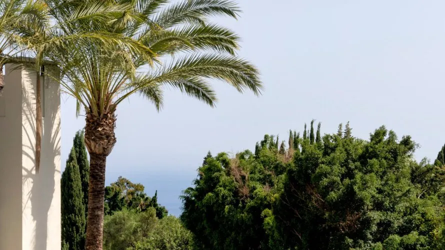 3 bedrooms apartment for sale , Marbella, Spain No. 476 № 9