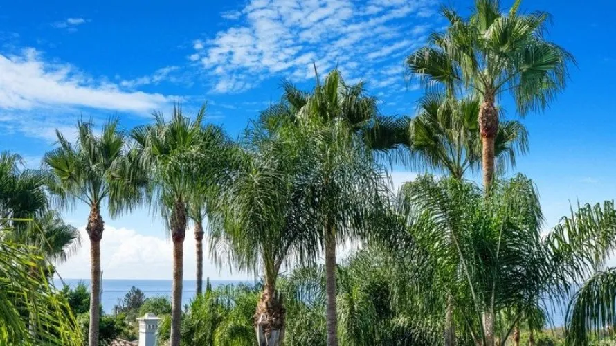 5 bedrooms villa for sale , Marbella, Spain No. 929 № 19