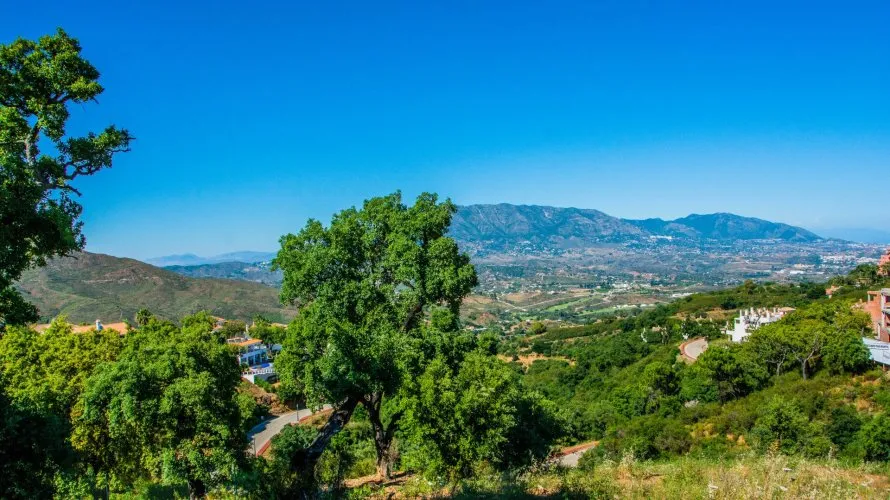 4 bedrooms villa for sale , Marbella, Spain No. 264 № 4