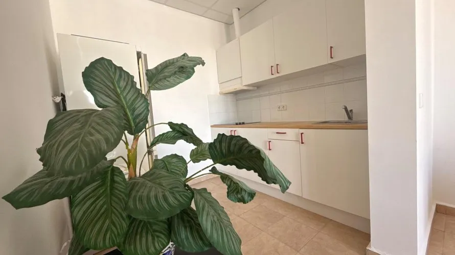 384m² villa for sale, Calpe, Spain No. 1519 № 8