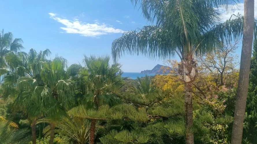 Land plot for sale, Galera de las Palmeras, Spain No. 2046 № 16