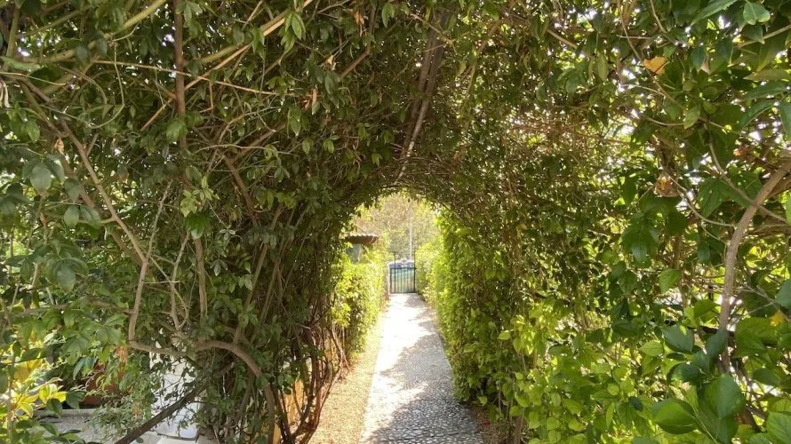 4 bedrooms villa for sale, L'Alfàs del Pi, Spain No. 1799 № 12