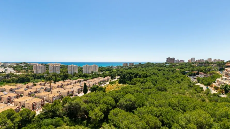 65m² apartment for sale, Dehesa De Campoamor, Spain No. 2433 № 28
