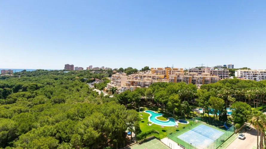 65m² apartment for sale, Dehesa De Campoamor, Spain No. 2433 № 25