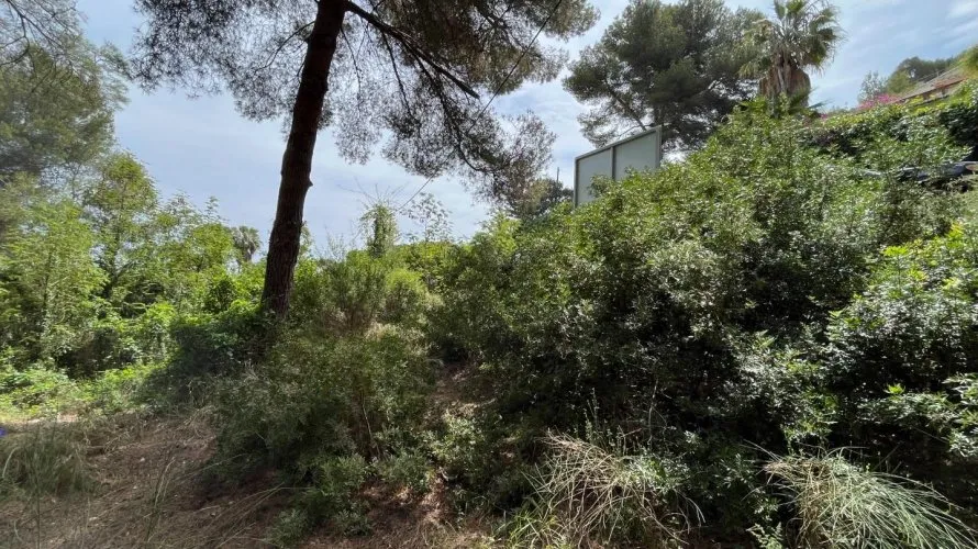 Land plot for sale, Cap Martin, Spain No. 1594 № 5