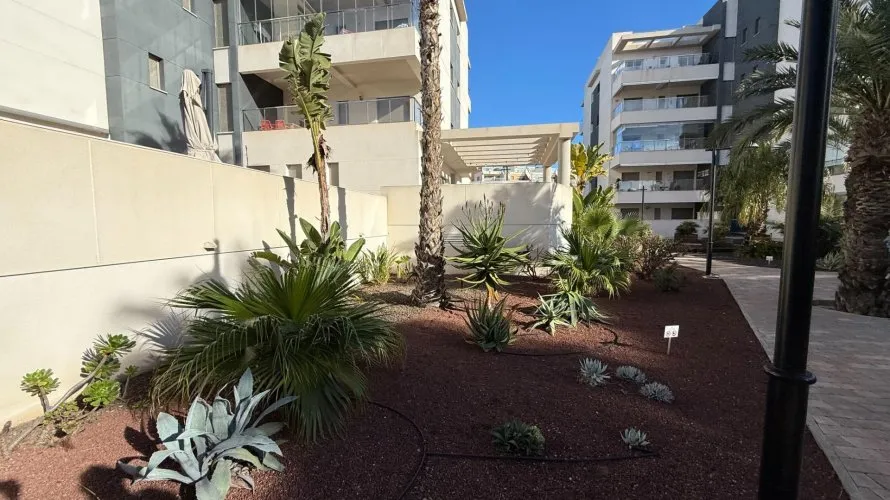 3 bedrooms apartment for sale, Los Dolses, Spain No. 2597 № 4