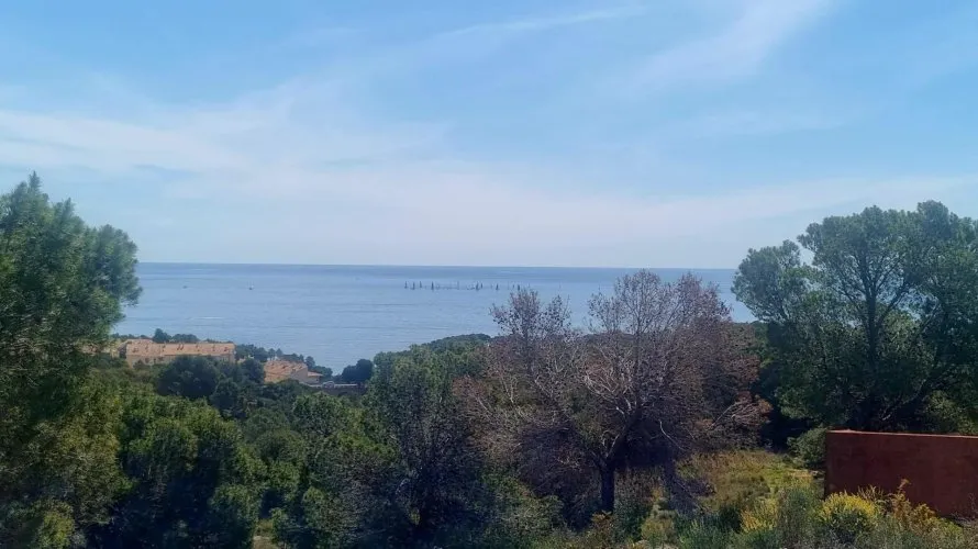Land plot for sale, Galera de las Palmeras, Spain No. 2046 № 20
