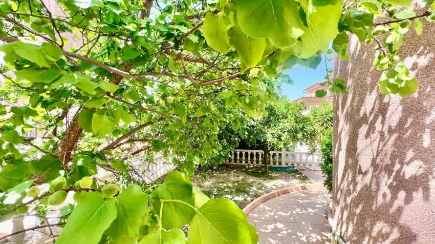 3 bedrooms villa for sale, Torrevieja, Spain No. 1486 № 18